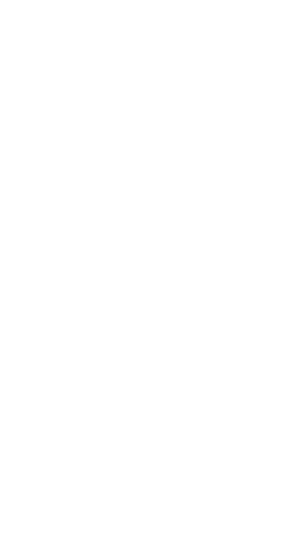 lime-triangles 1